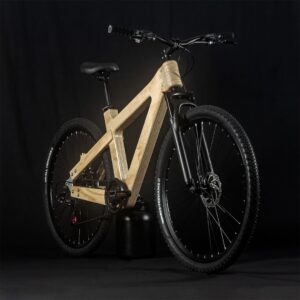Bicicleta Standard