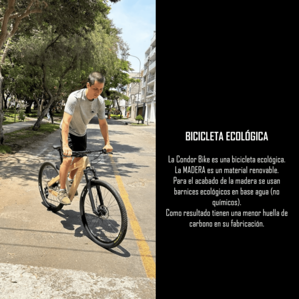 img-Bicicleta Ecológica-Condor Bike