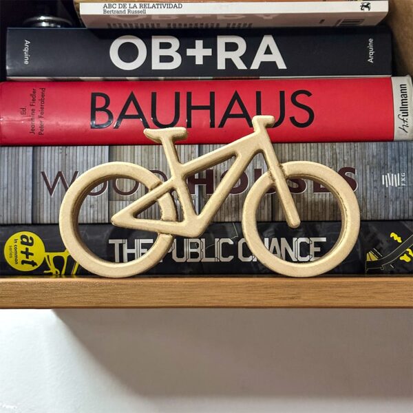 IMG-AdornodeBicicleta3